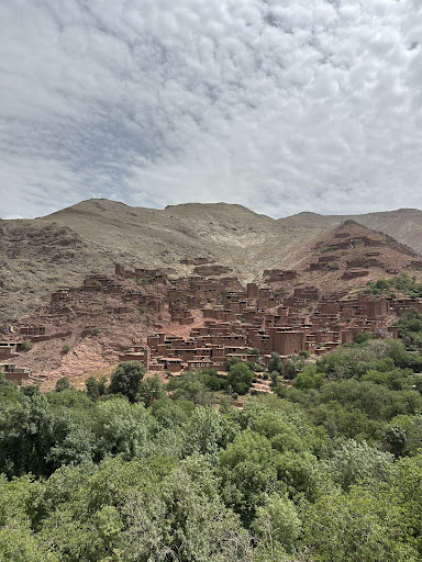 Photo from customer review