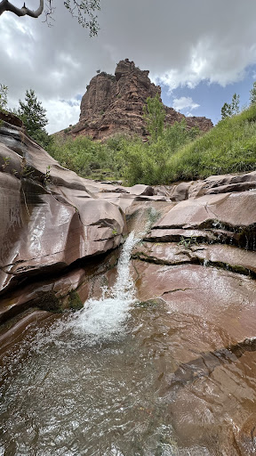 Photo from customer review